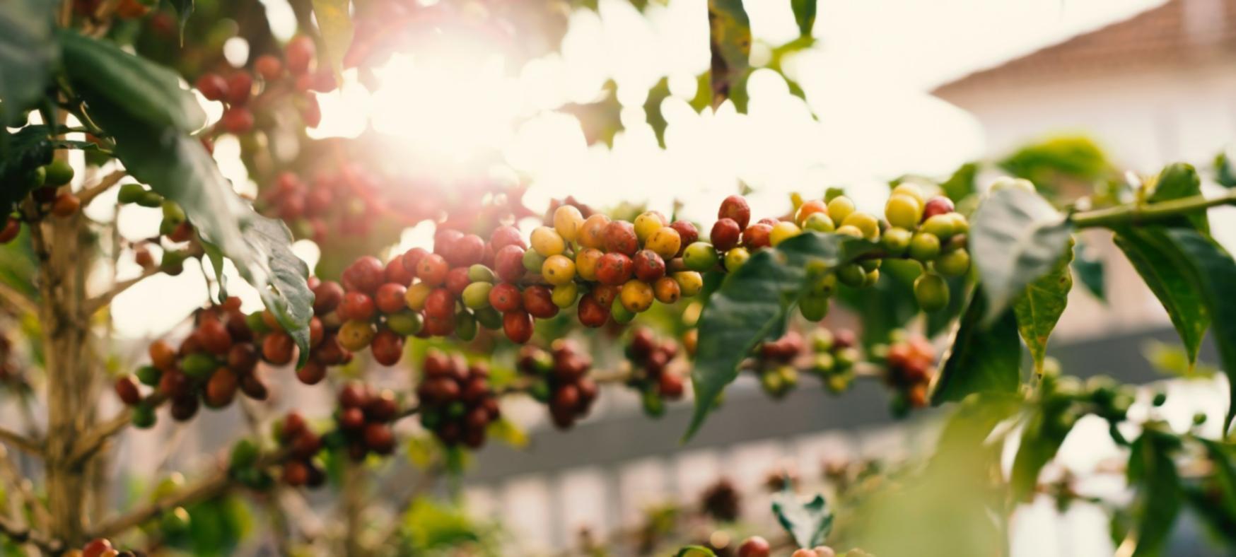 Научный подход к составлению рекомендаций